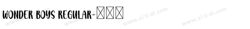 Wonder Boys Regular字体转换